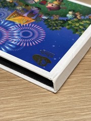 Club Nintendo Discontinued Animal Crossing DS Game & Stylus Case US Seller