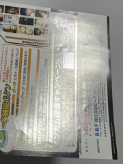 Dead or Alive 2 Tecmo Arcade Art & Flyer Set Japan