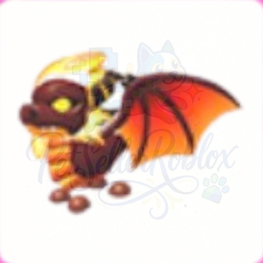 Solaris | Aestus | NFR | MFR | Adopt Now