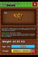 Newest 60KG+ EVERCHANTED GILDED CHOC PERYTON ❄🔥CHEAP + FAST🔥❄️ GROW A GARDEN❄️