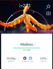 Pokémon Shiny Galarian Moltres – PTCs – Stardust – Read Description