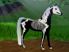 IWC SKELETON ARABIAN SALE!! CHEAP PRICES 🔥| Wild horse islands | Roblox