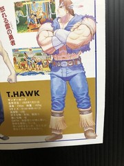 Super Street Fighter II: The New Challengers: 1994 Flyer B3 size Poster (Fold:EX