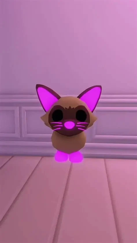 Adopt – NFR Siamese Cat – Neon Fly Ride Siamese Cat – Best Price !