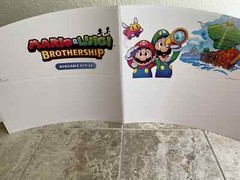 Mario and Luigi Brothership Horizontal Display