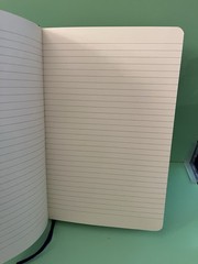 Fallout Boy Lined Journal/Notebook