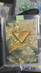 Cookie Run Kingdom New Ancient Cookies Collectible Card Full Set Quality Checked